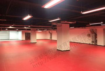 北京舒華陽光 場(chǎng)館照明 室内乒乓球  PVC