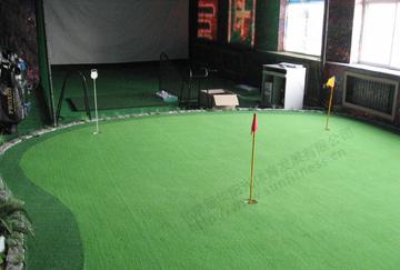 北京舒華陽光 室内健身(shēn) 智能(néng) 模拟高爾夫  